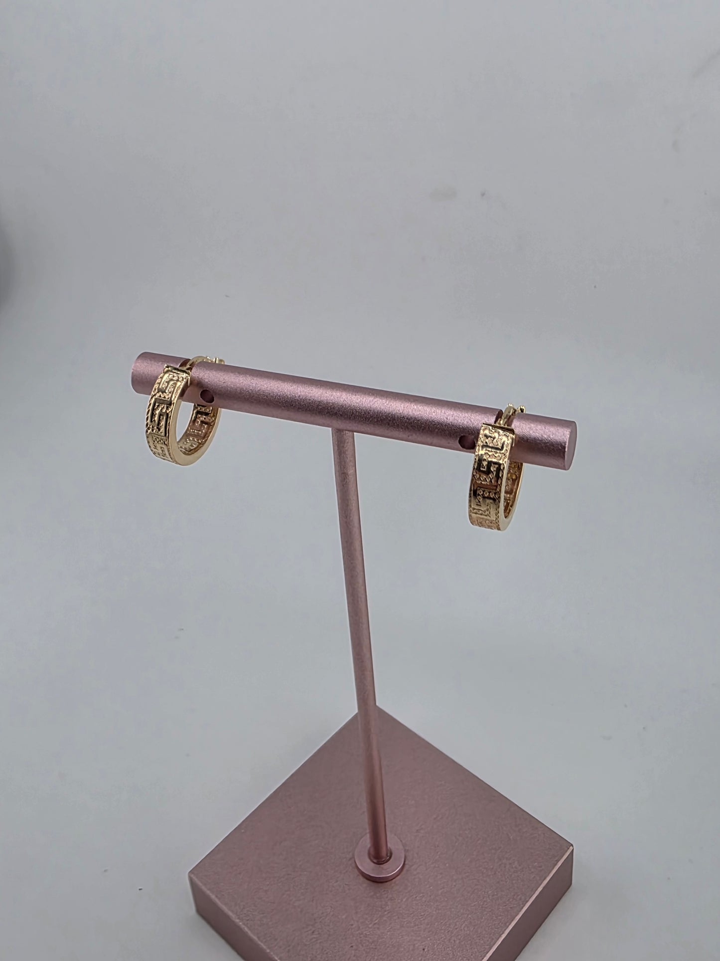 Fen type earring 148